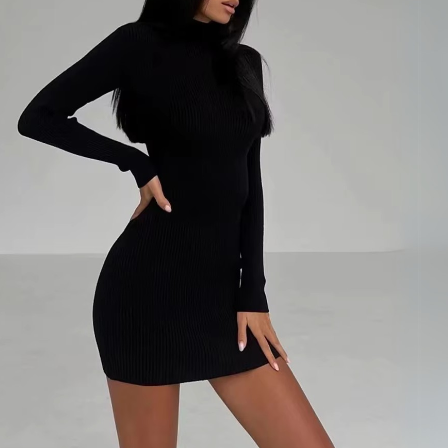Velveta Knit Turtleneck Dress