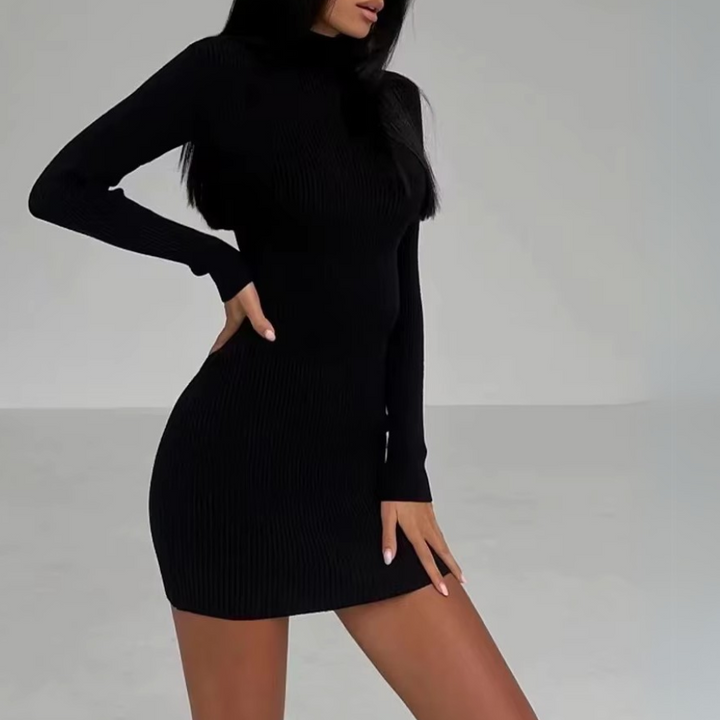 Velveta Knit Turtleneck Dress