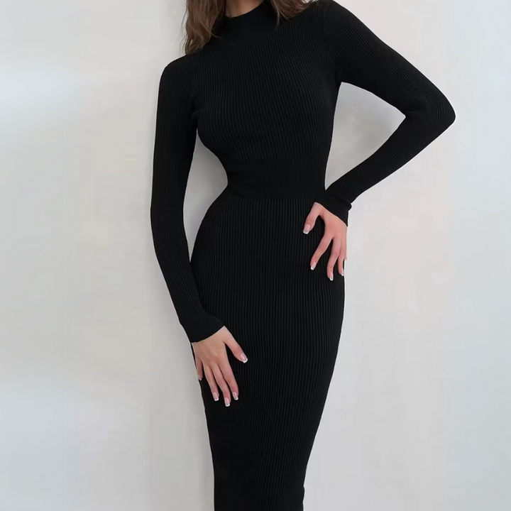 Velveta Knit Turtleneck Dress