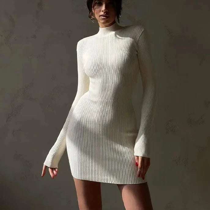 Velveta Knit Turtleneck Dress