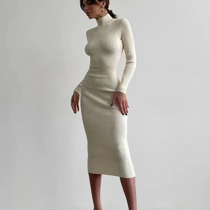 Velveta Knit Turtleneck Dress