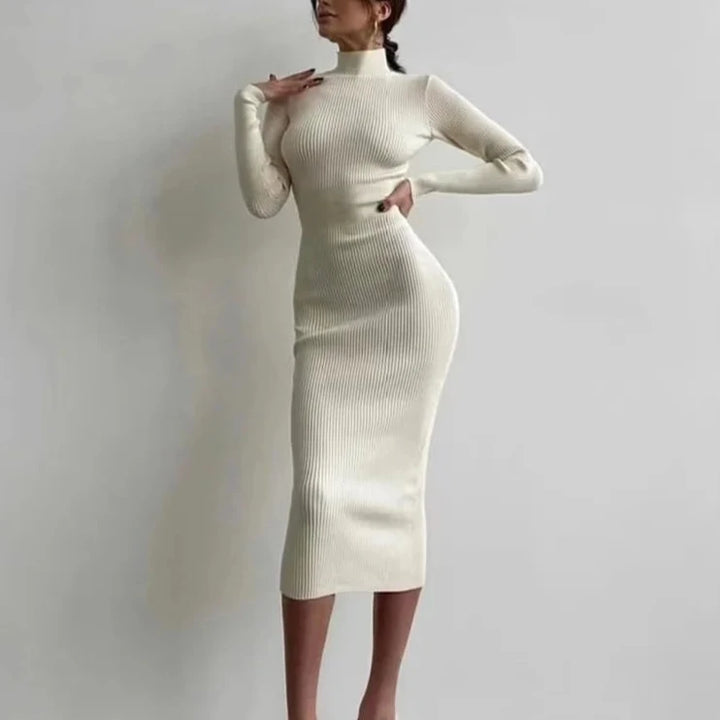 Velveta Knit Turtleneck Dress