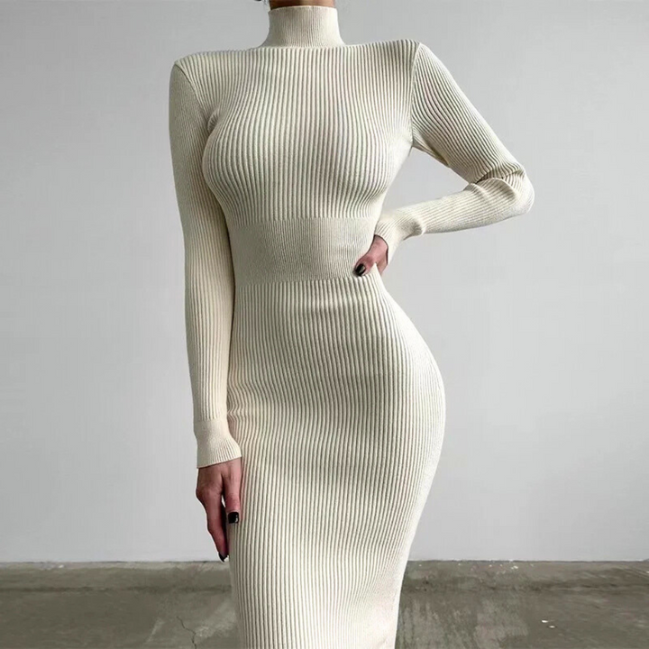 Velveta Knit Turtleneck Dress